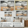 thumbnail image 4 of Designart "Africa Ostrichs beauty I" Animals Floater Framed Canvas Art Print, 4 of 7
