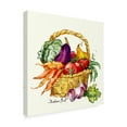 thumbnail image 2 of Trademark Fine Art 'Vegetable Basket' Canvas Art by Barbara Mock, 2 of 3