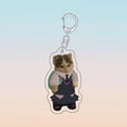 thumbnail image 4 of Memes gato superhéroe invencible gato Guerrero parodia divertido regalo para estudiantes llavero colgante, 4 of 4
