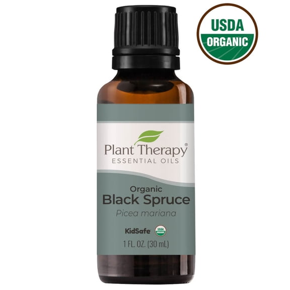 Plant Therapy Spruce Black Organic 30 mL (1 oz) Essential Oil 100% Pure, Undiluted, Therapeutic Grade