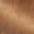 thumbnail image 2 of Garnier Nutrisse Nourishing Hair Color Creme, 73 Dark Golden Blonde Honey Dip, 2 of 6