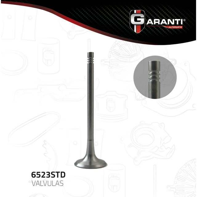 Valvula Escape Garanti Para Volkswagen Jetta 1999 - 2005 (Garanti)