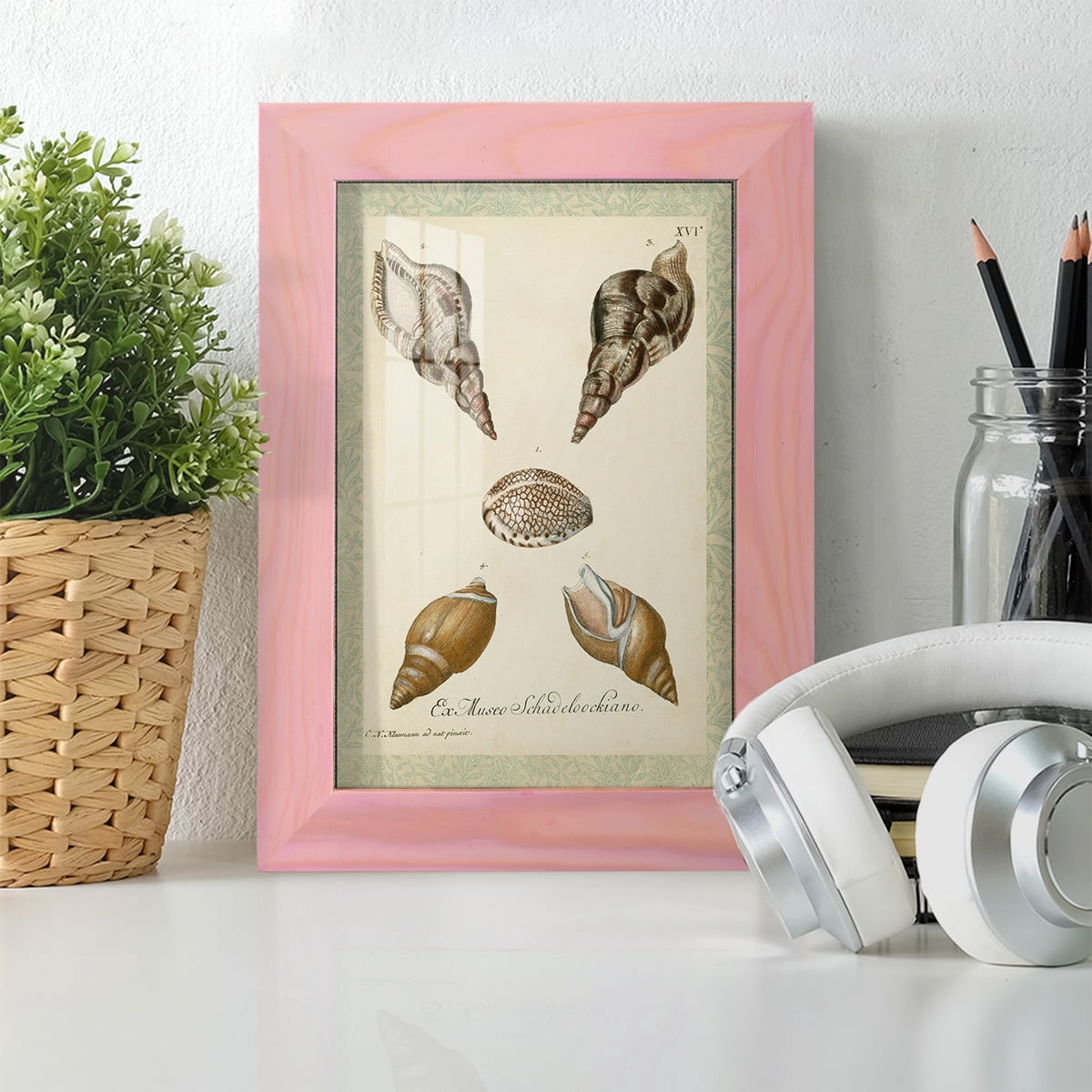 Bookplate Shells VIII - Framed Print w/glass - Sunset Pink