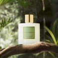 thumbnail image 3 of Difusor Reed Cocorrína Bamboo Stream Scent, 200 ml, con 8 barras, 3 of 7