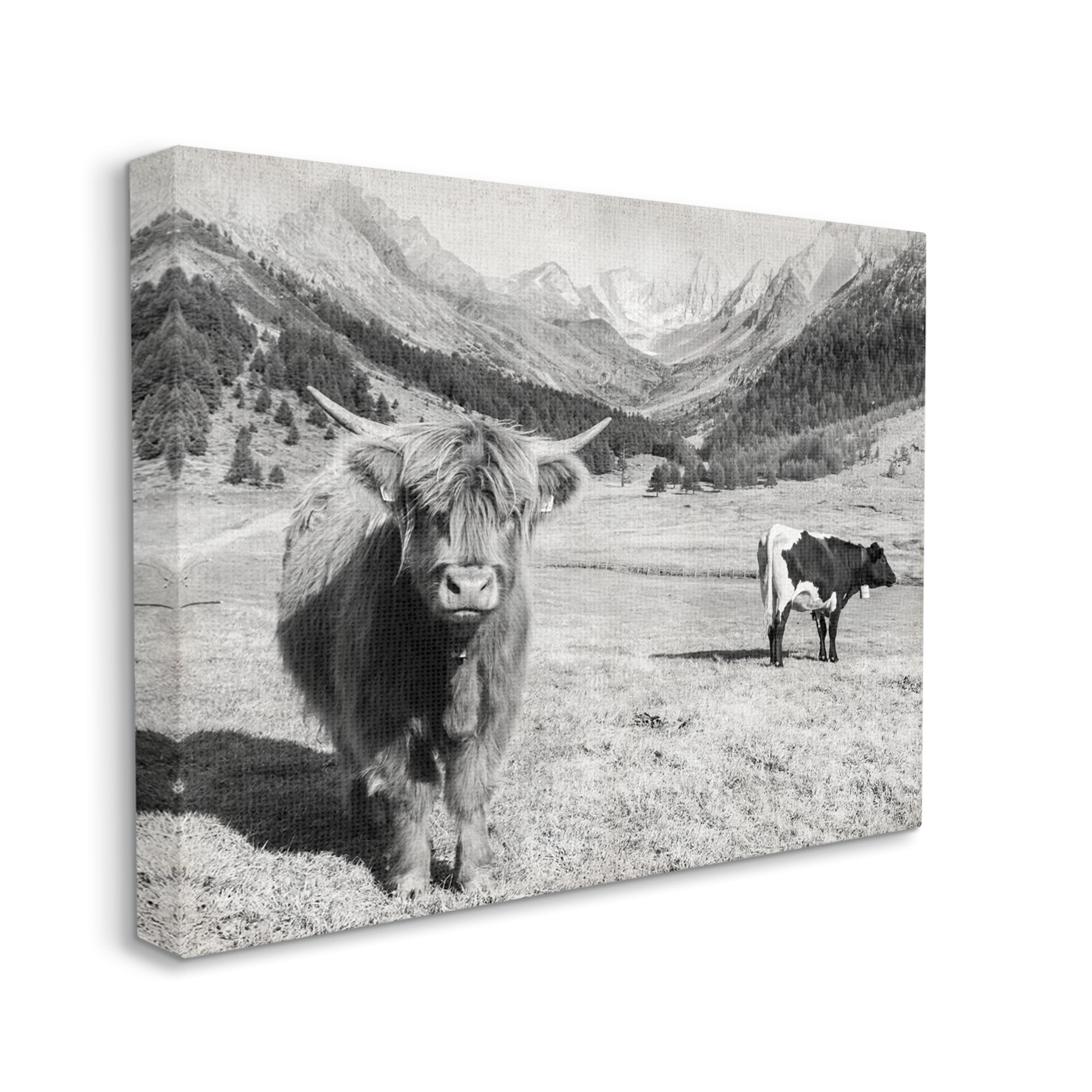 Stupell Industries Curious Ox Clueless Cow Sublime Farm Plains,30 x 24, Design by Danita Delimont