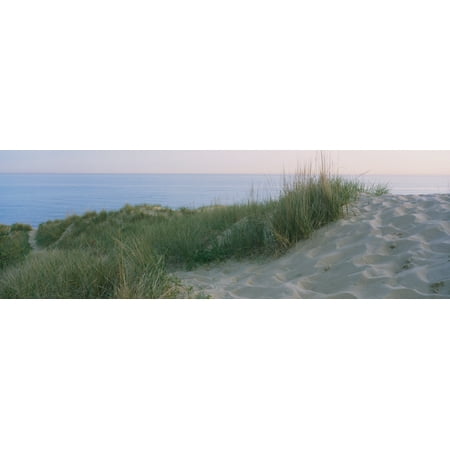 Mrs Grass - Grass on a sand dune Indiana Dunes National Lakeshore Indiana USA Poster Print