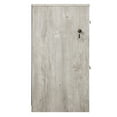 thumbnail image 5 of Saint Birch Elma Wood Gray File Cabinet, 5 of 13