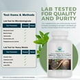 thumbnail image 3 of Nature's Lab Green Tea Extract with EGCG 500mg - 90 Capsules (3 Month Supply) - Powerful Antioxidants, Weight Support, Energy*, 3 of 6