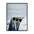 thumbnail image 1 of RYLABLUE Belle Couverture en Polaire Trois Pingouins Look Sky 58x80 Pouces, 1 of 3