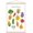 Premium Print and Beechwood Hanger Bundle, variant on Classroom - Vegetables 2026 Wall Poster, 14.725" x 22.375"