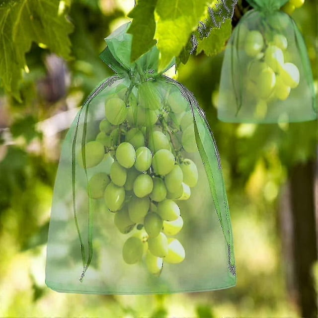 100pcs Bunch Protection Bag 30x20cm/10x15cm Grape Fruit Organza Bag With Drawstring Gives Total Protection