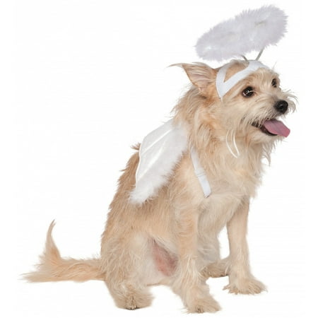 Angel Wings and Halo Pet Pet Costume - Small/Medium