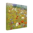 thumbnail image 2 of Shirley Novak 'Champ de Fleur II' Canvas Art, 2 of 3