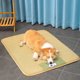 thumbnail image 5 of onlyliua Ofertas Del Día Por Tiempo Limitado Colchoneta Fresca de Verano para Dormir con Absorción de Agua En La Parte Superior E Inferior, Material Seguro, Transportable, Mantiene Fresco Mascotas, N, 5 of 7