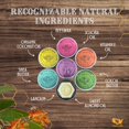 thumbnail image 5 of Nabila K Royal Wood Perfume roll-on con aceite esencial de sándalo, fragancia orgánica natural y duradera, sin alcohol, perfume de tamaño de viaje para mujeres, aprobado por la TSA 0,33 oz / 10 ml, 5 of 5