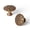 Antique Brass, variant on 6 Pack Antique Brass Solid Zinc Alloy Starburst Cabinet Knobs