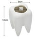thumbnail image 3 of Maceta En Forma De Muela Regalo Dentistas Odontólogo Decoración, 3 of 4