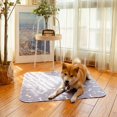 thumbnail image 5 of Washable Pee Pads for Dogs, Reusable Puppy Pads, Non-Slip Super Absorbent Dog Mat Incontinence Pads for Dog Playpen & Dog Crate, 5 of 5