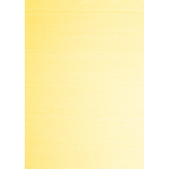Ahgly Company Machine Washable Indoor Rectangle Solid Yellow Modern Area Rugs, 4' x 6'