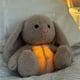 thumbnail image 1 of Muñeco de conejo pacificador para bebé, juguete de peluche para calmar la nutria, música relajante, compañero para dormir, oso de peluche, regalo para niños, 1 of 1