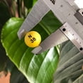 thumbnail image 5 of Set de juego de bingo Yuanhe Deluxe con jaula de metal de 6 pulgadas y 75 bolas, 5 of 5