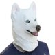 thumbnail image 1 of Máscara de Halloween, máscara de cabeza de animal de látex de perro husky, máscaras de goma para disfraz novedoso, fiesta de carnaval de Halloween, máscara de látex divertida y complicada para perro m, 1 of 5