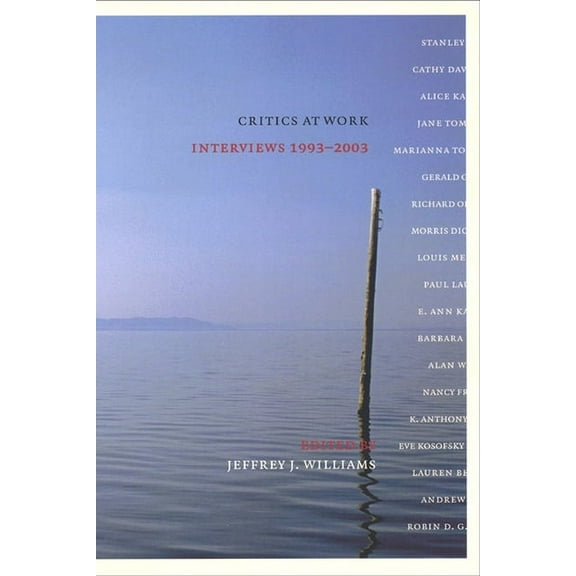 Cultural Front Critics at Work: Interviews 1993-2003, Book 2, (Paperback)