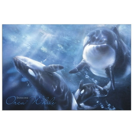 - Tree-Free Greetings Whale Orca Classic ECOnotes Blank Note Cards-FS66921