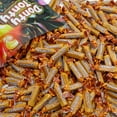 thumbnail image 5 of Caramel Candy Classic Vanilla 4 lb – Bulk Candy in Resealable Bag, Individually Wrapped for Freshness, Soft & Chewy, Gluten Free, 5 of 7