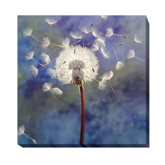 Dandelion by Gayle & Glen Wans Premium Gallery Wrapped Canvas Giclee Art - Ready-to-Hang, 30 x 30 x 1.5 in.