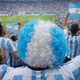 thumbnail image 4 of Peluca Para Adultos Aficionados De Futbol Soccer Albiceleste, 4 of 5