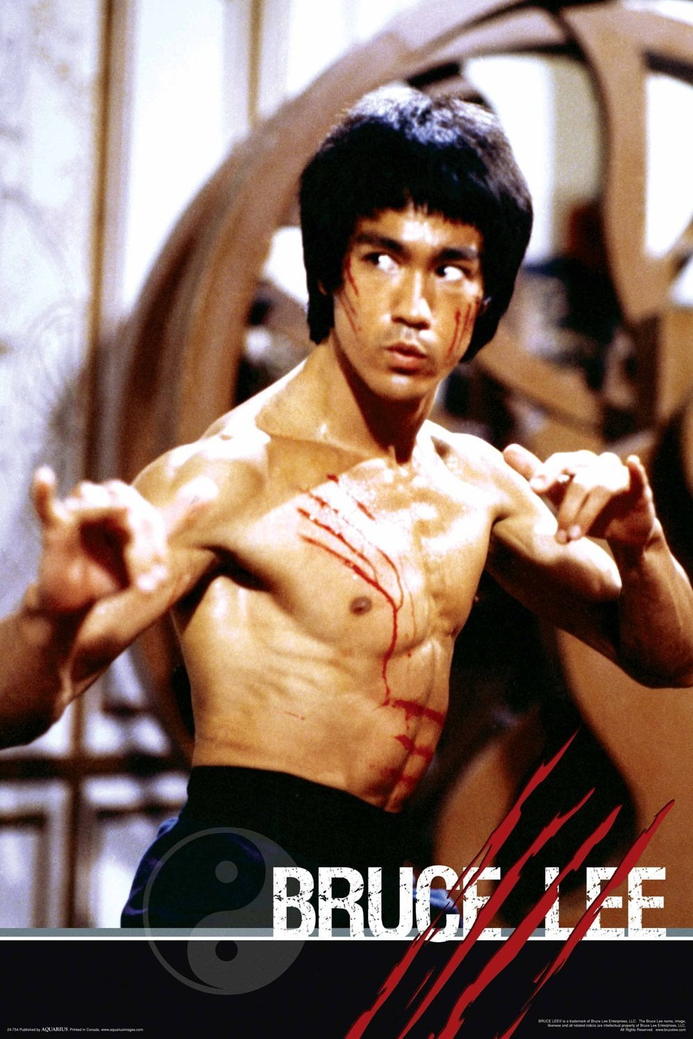 enter the dragon full movie free enter the dragon full movie free