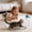 Blue_Hot#5676, variant on Interactive Cat Feather Toy with Bells for Play and Exercise – Durable, Replaceable Feathers and Spring Rotation for Kitten Training and Obesity Control