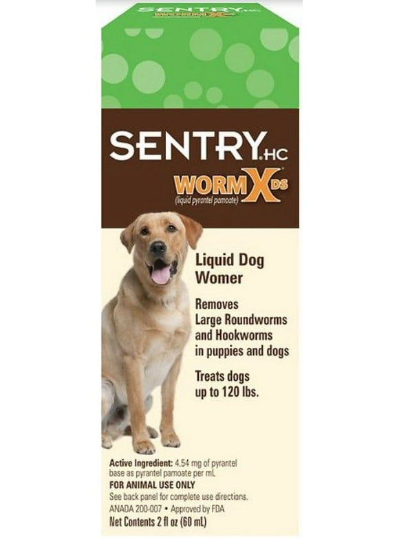 Dog Dewormers in Dog Health and Wellness