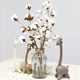thumbnail image 2 of Tallos de Algodón para Decoración de Granja - Mezcla de Algodón Natural, Hecho a Mano, 21inch - para Guirnaldas/Garlands/Decoración del Hogar, Diseño Doblable, 2 of 8