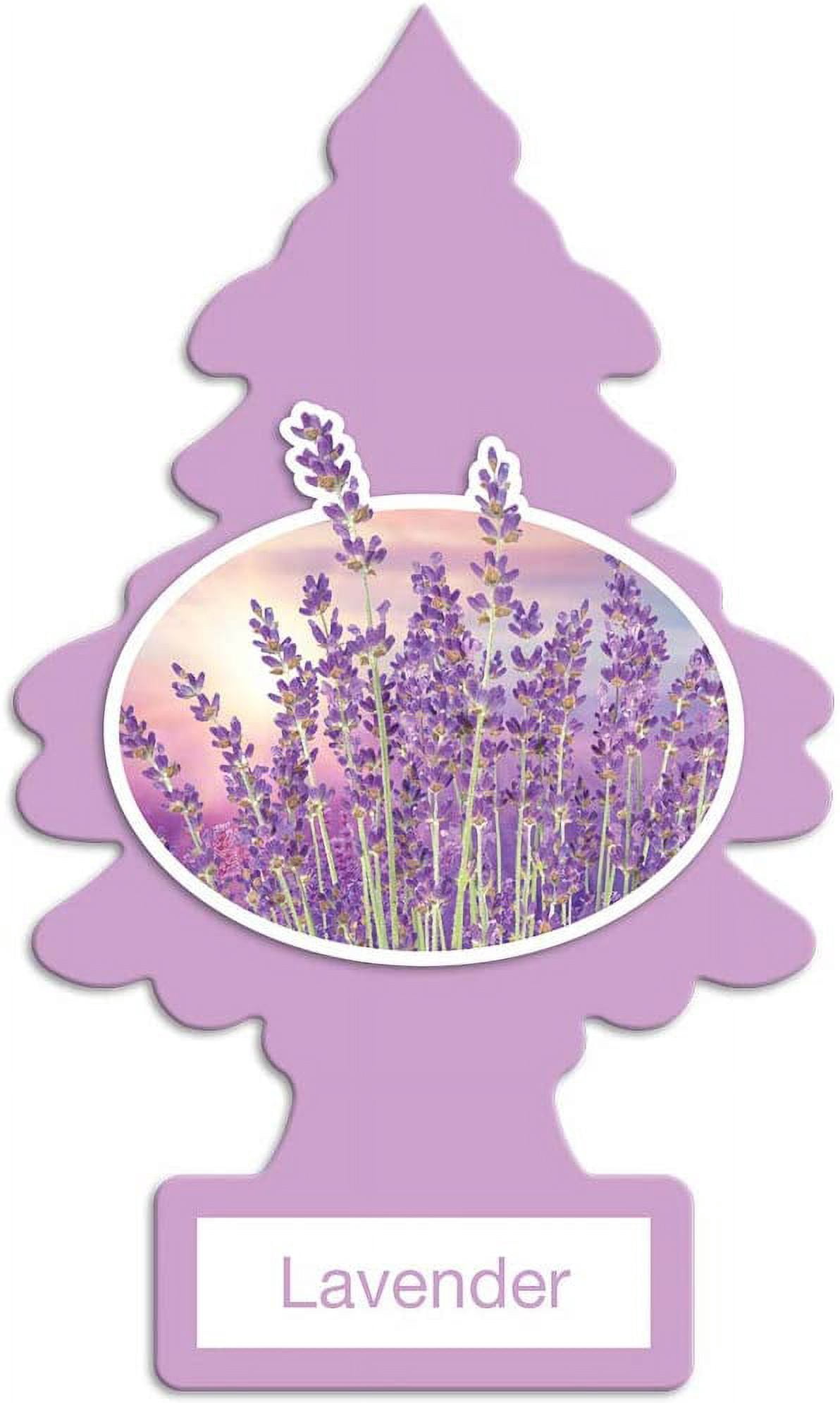 LITTLE TREES Car Air Freshener Hanging Tree Provides Long Lasting Scent for Auto or Home  LAVENDER Scent, 24 count