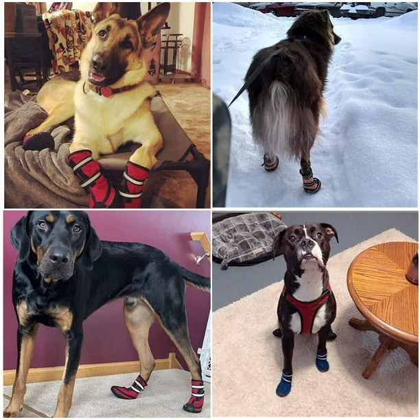 Best dog shoes for large dogs hot sale