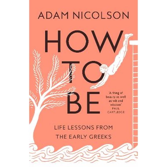 Pre-Owned How to Be (Paperback) 0008490791 9780008490799