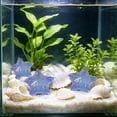 thumbnail image 5 of 10 Pack Resin Star Shape Aquarium Ornament Visible in Dark, Glow Luminous Fish Tank DIY Decorative Stones, Nocturnal Bright Substrate Accent for Betta Shrimp Tank Aquascaping Night Scenery, 5 of 7