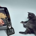 thumbnail image 5 of 1 pala negra para arena para gatos, pala para mascotas, herramienta de limpieza para perros y gatos JM, 5 of 5