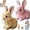 2pcs-b#TXD9, variant on Bunby - My Realistic Bunny Toy,Interactive Bunny Realistic Bunny - Jumping,Twitching,And Shaking Ears,Bunny Realistic Bunny Toy,Bunbi Realistic Bunny,Realistic Bunny Toys for Kids(2PCS-B)