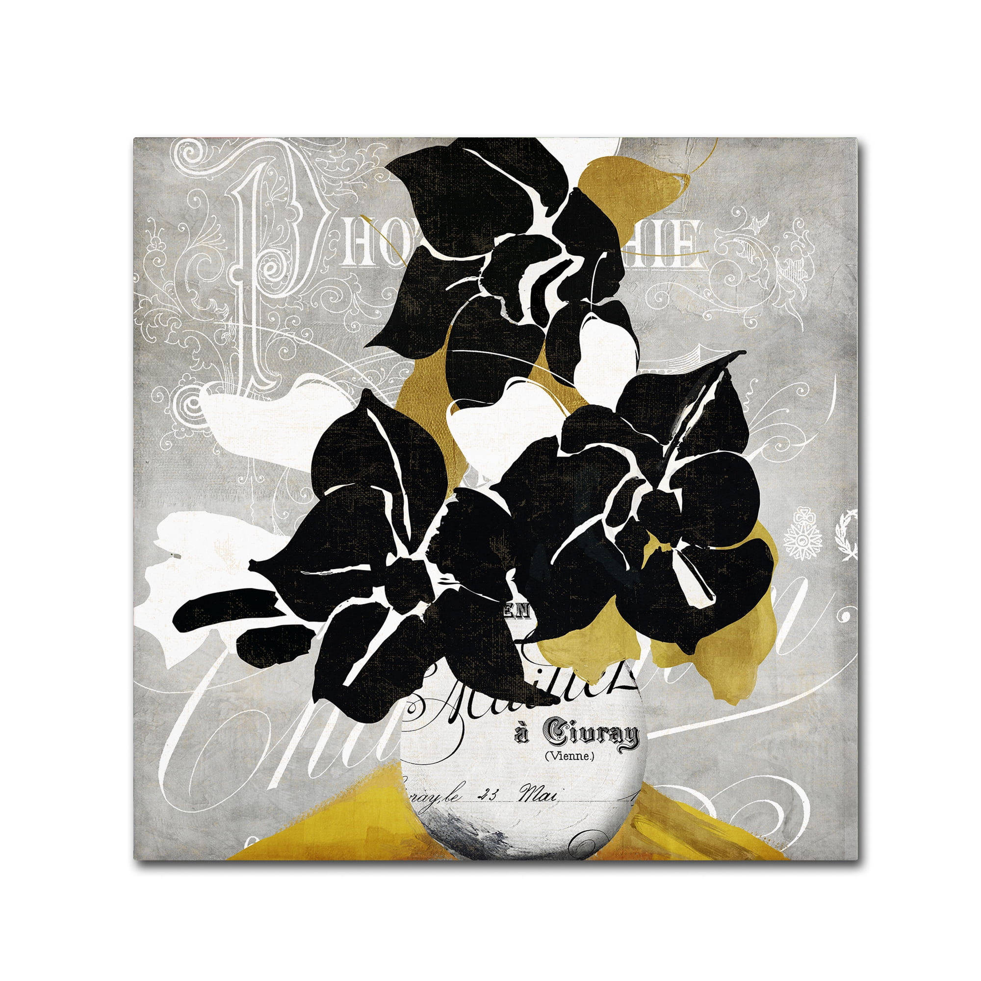 Trademark Fine Art "Georgette I" Canvas Art by Color Bakery