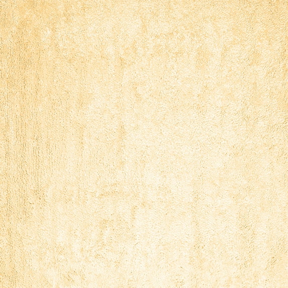 Ahgly Company Indoor Square Solid Brown Modern Area Rugs, 4' Square