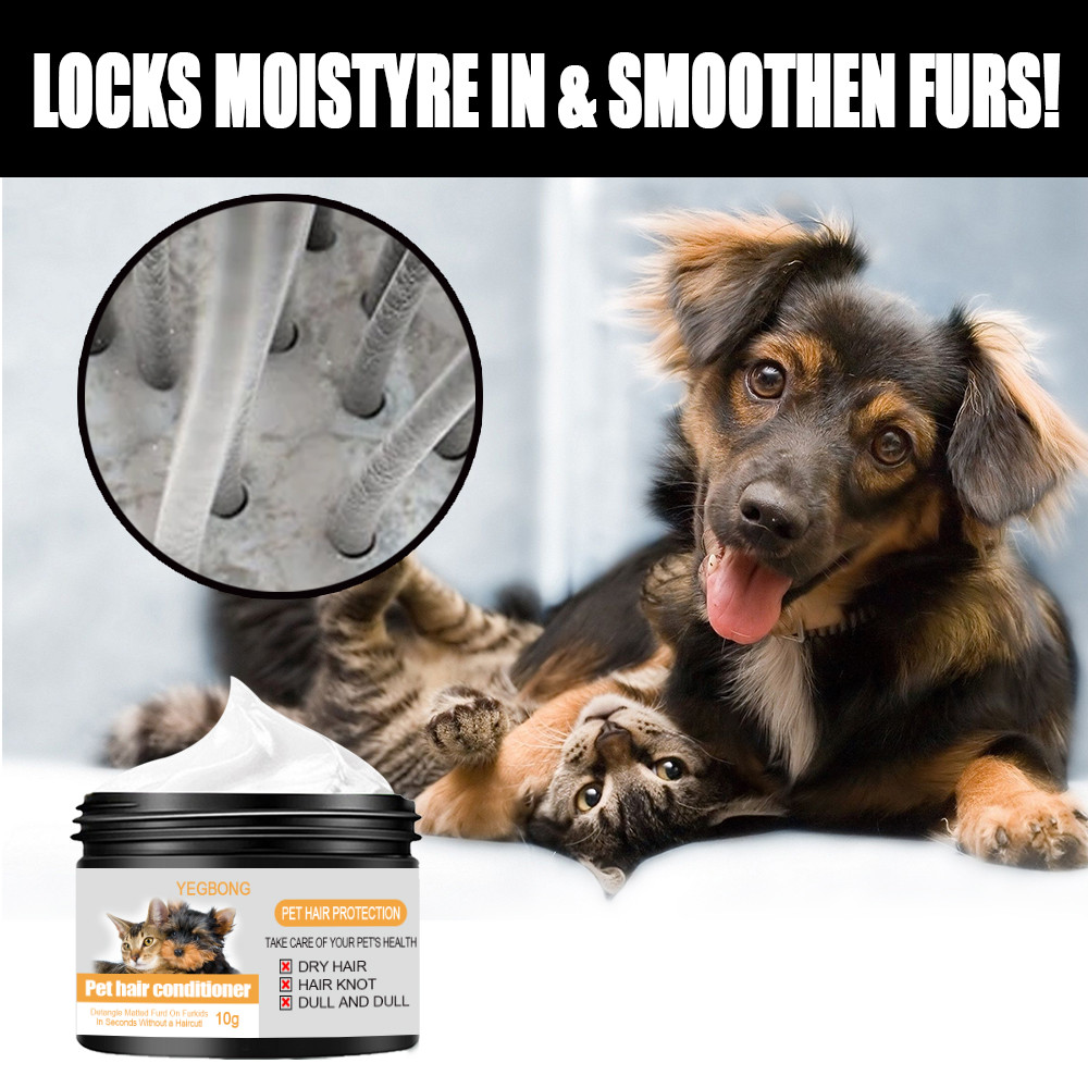 Whats The Best Dog Shampoo For Smelly Dogs