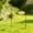 2PCS, variant on BDGD77 Shepherd Hooks, 29" Heavy Duty Metal Adjustable Garden-Stake for Bird-Feeder, Lantern, Plant-Hook, Outdoor Flower Basket, Weddings Festival Decor (1PCS)