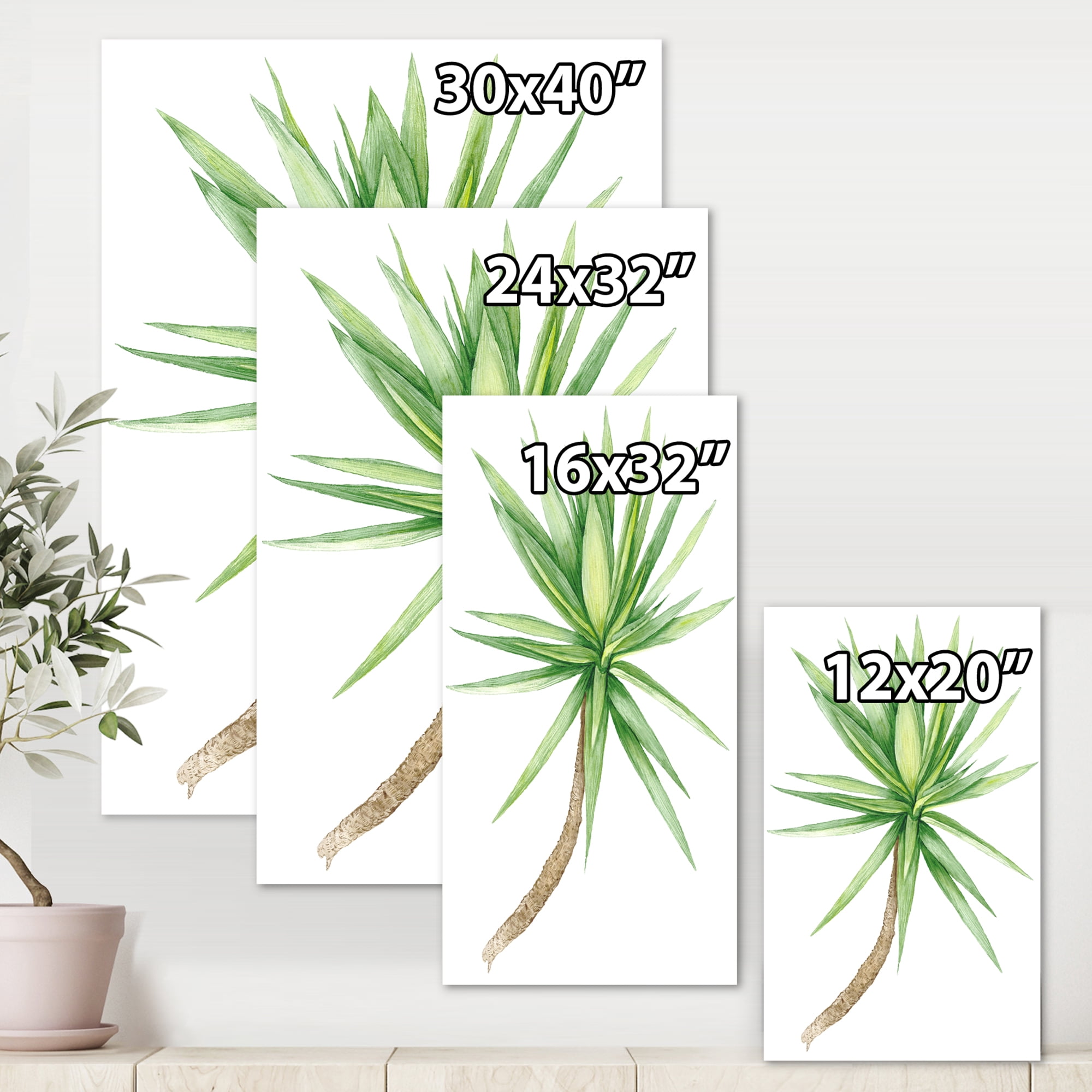 Designart ' Close Up Of Yucca Tree ' Traditional Canvas Wall Art Print