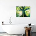 thumbnail image 6 of Chilfamy Sunlight Through Trees Canvas Wall Decor for Bedroom and Kitchen, Fashionable Wall Pictures, Ideal for Home Art Decor, Ready To Hang, No Bathroom Wall Decor 20x16in, 6 of 6