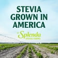 thumbnail image 3 of Splenda Stevia 100% Natural Zero Calorie Sweetener 9.8 oz (Pack of 2), 3 of 7