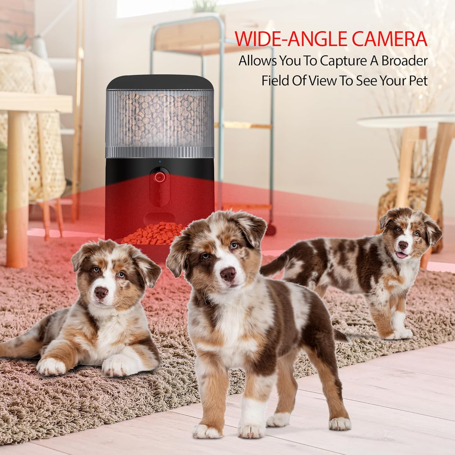 Energizer Smart Pet Feeder, Automatic Pet Feeder with 2K Video Camera & Two-Way Audio, Black