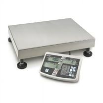 Kern IFS 60K-2M 10-20 g Platform Scale